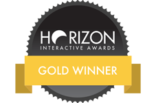 Gold Award Winners 2020